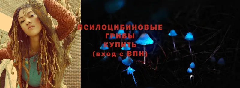 сколько стоит  нарко площадка официальный сайт  Псилоцибиновые грибы MAGIC MUSHROOMS  Новоузенск 